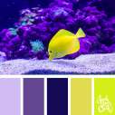 Color-palette-196-fish