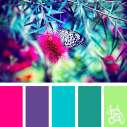 Color-palette-205-butterfly